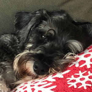 Meet your Posher, Jaden